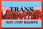 TRANS LIBERATION, NOT JUST RIGHTS!